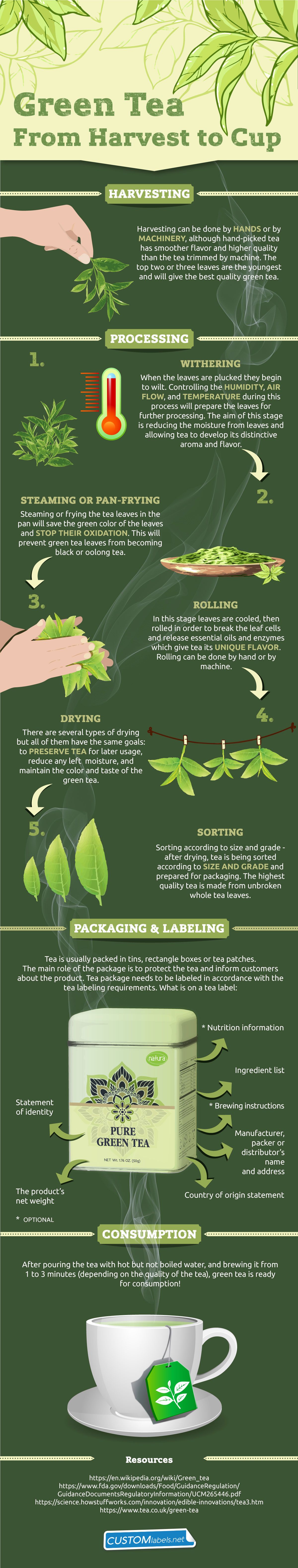 Green Tea Production Journey - From Harvest To Cup Infographic