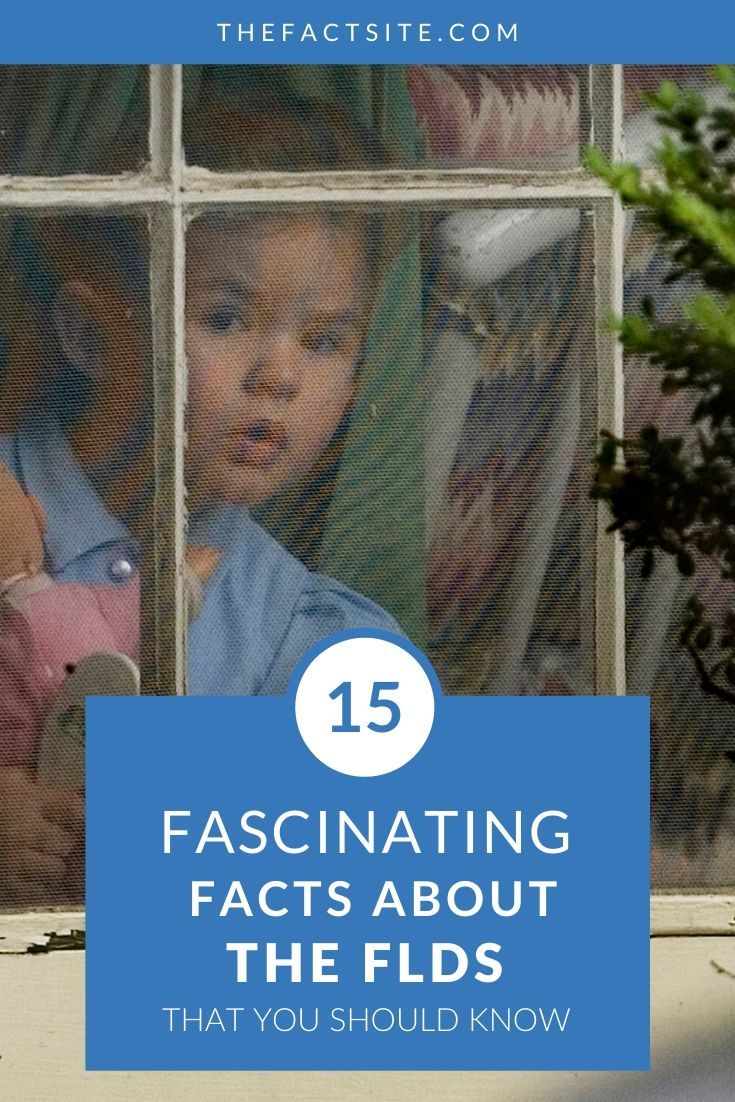 15 Fascinating Facts About The FLDS The Fact Site