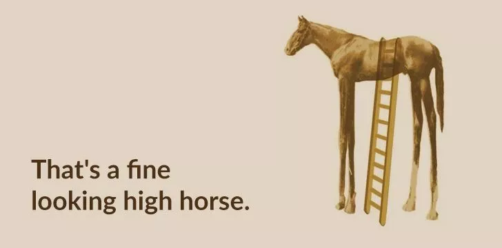 That's a fine looking high horse