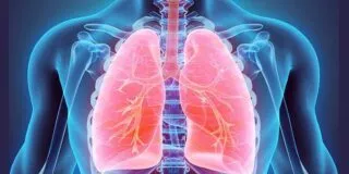 Crazy Facts About Your Lungs
