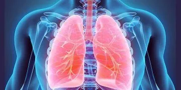 Crazy Facts About Your Lungs