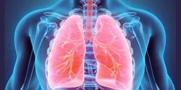 Crazy Facts About Your Lungs