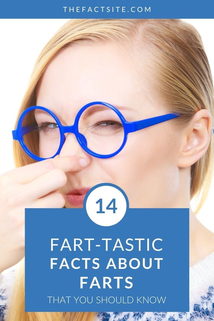 14 Fart-Tastic Facts About Farts That You Should Know