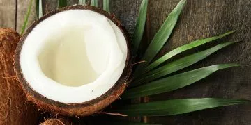24 Facts About Coconuts