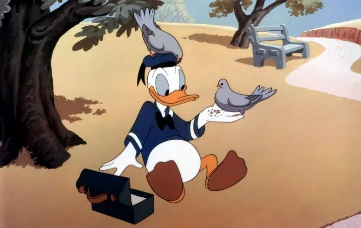Donald Duck sitting on a beach in his sailor's outfit.