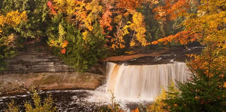 Why British People say Autumn