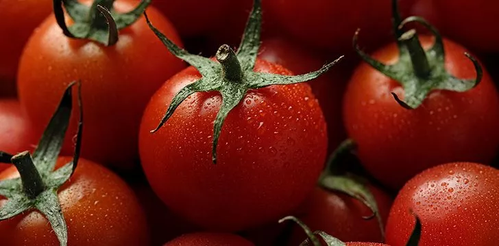 Tomato Trials