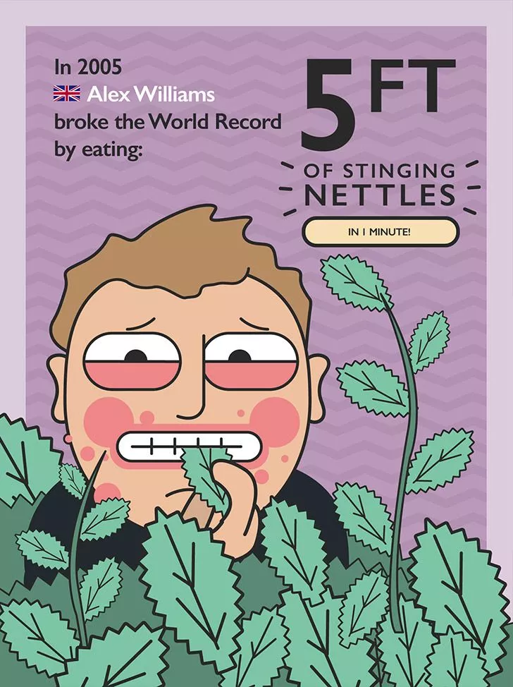 World record for eating the most stinging nettles