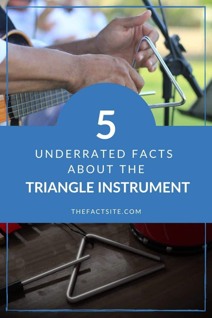 5 Underrated Facts About The Triangle Instrument The Fact Site