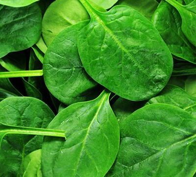 Surprising Spinach Facts