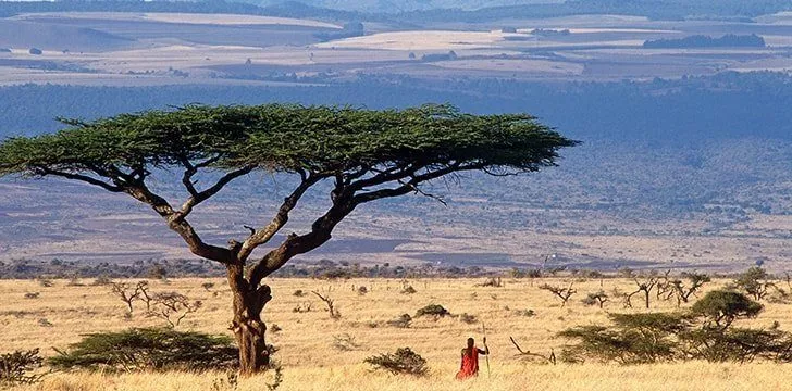 Kenya is a pretty new country.