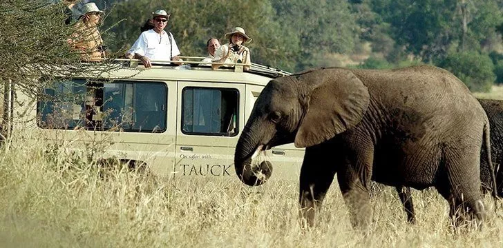 Kenya is the best place in the world for a Safari.