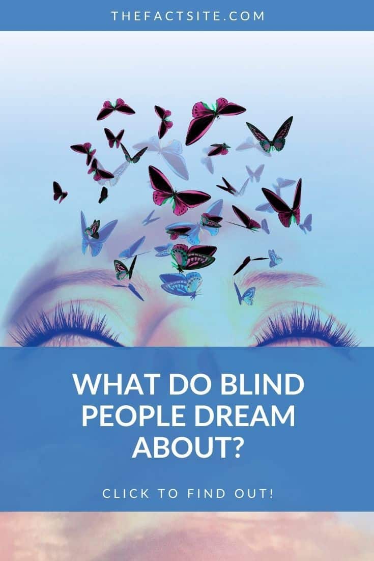 What Do Blind People Dream About? The Fact Site