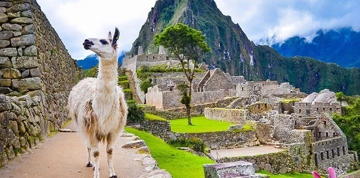 Hiram Bingham did not discover Machu Picchu.