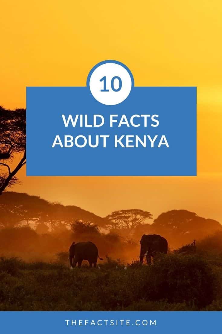 10 Wild Facts About Kenya The Fact Site