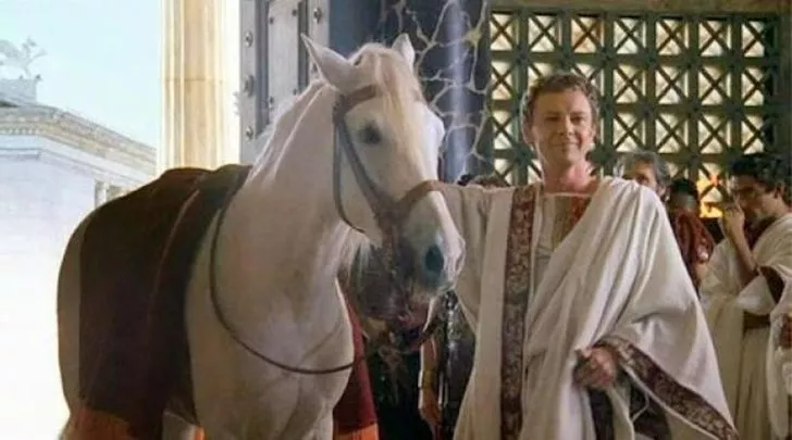 Roman Emperor Caligula made one of his favorite horses a senator.