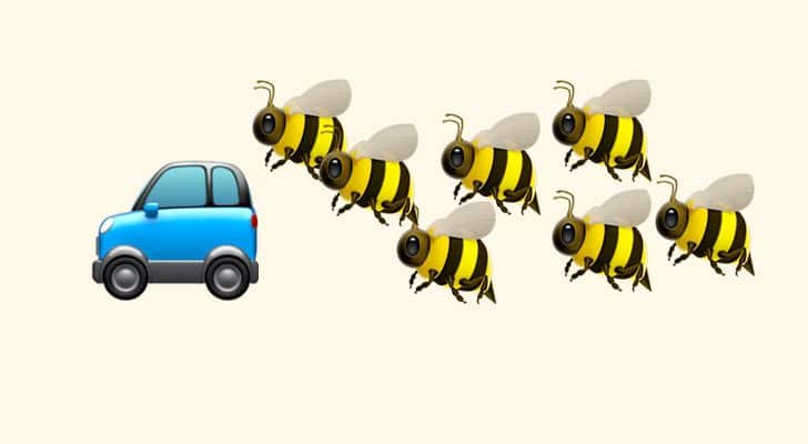 A swarm of 20,000 bees followed a car for two days because their queen was stuck inside.