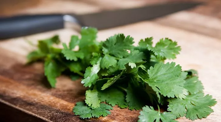 Coriander and cilantro are not the same thing.