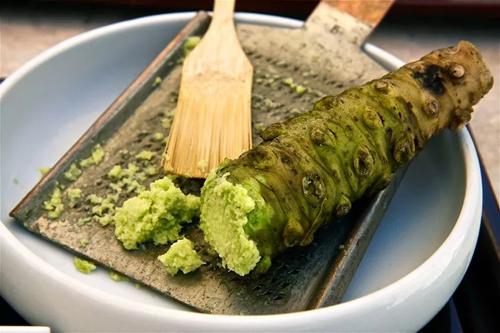 Most supermarket wasabi is actually horseradish.