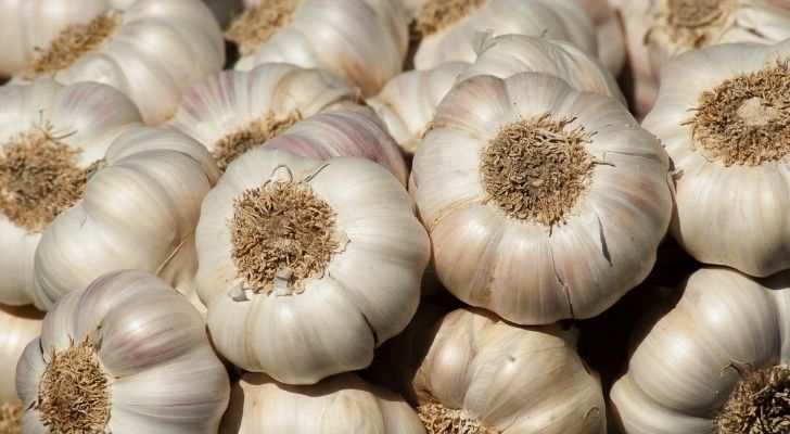 Graceful group of garlic