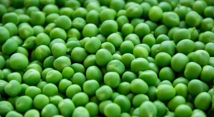 Hundreds of glorious peas