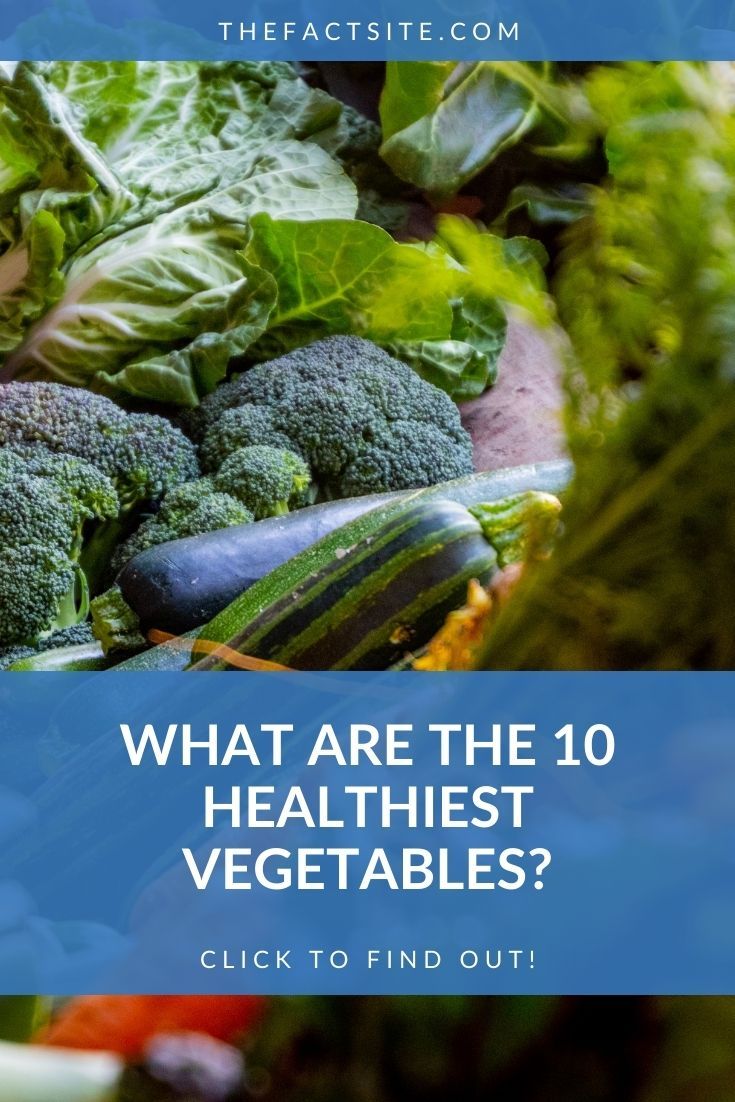What Are The 10 Healthiest Vegetables? The Fact Site