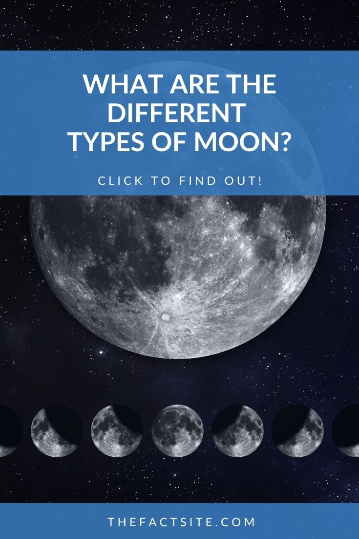 What Are The Different Types Of Moon?