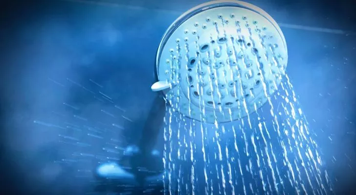 Shower Head