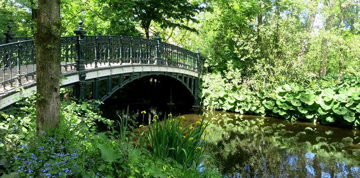 Amsterdam has 40 parks!