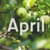 20 Awesome Facts About April