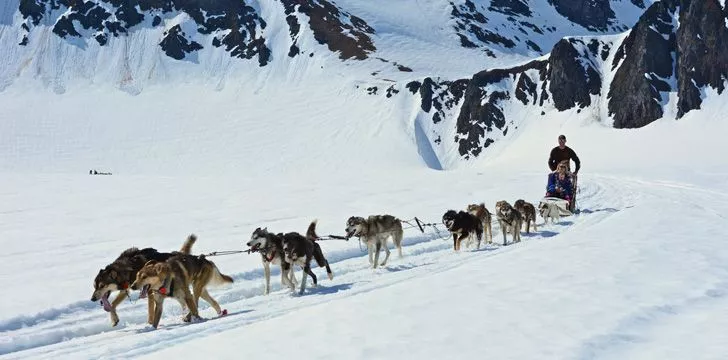Dog sledding is the official sport of Alaska.