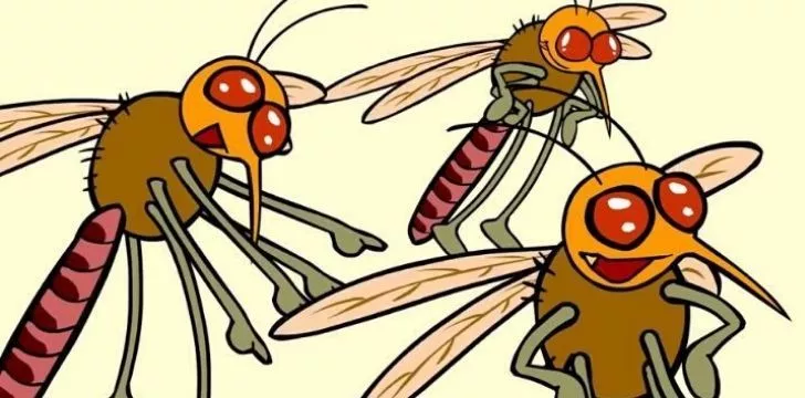 Three mosquitoes