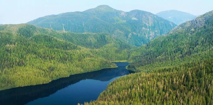 Alaska is home to the largest national forest in the US.