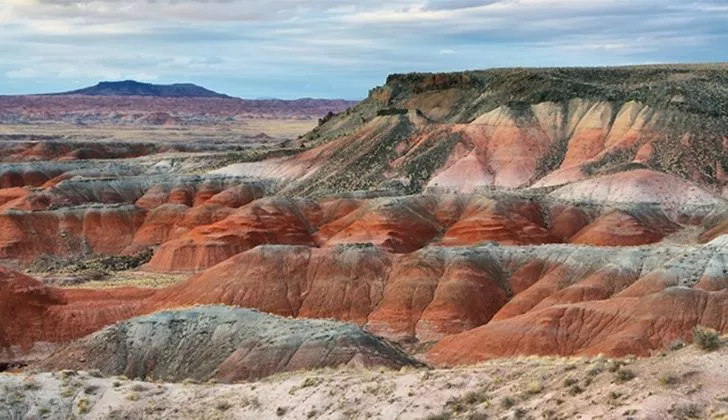 The Petrified Forest is just one of the many alternatives to the Grand Canyon in Arizona