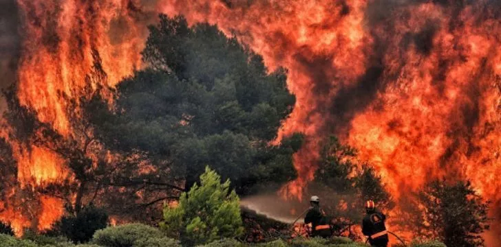Climate change increases wild fires