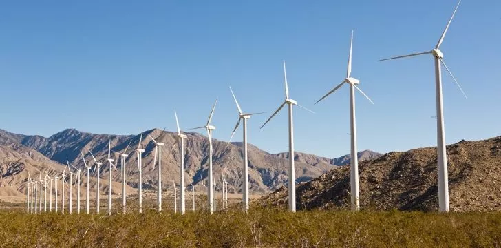 Wind turbines collecting renewable energy