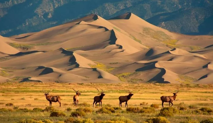 The Great Sand Dunes National Monument, Colorado