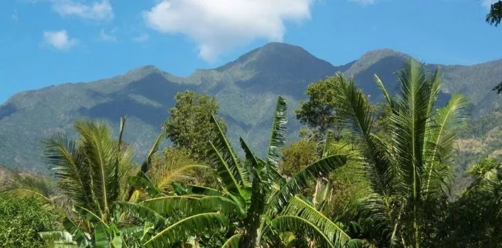 Cuba's tallest peak at Pica Turquino.