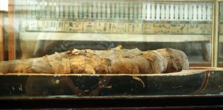 Ancient Egyptian mummy.