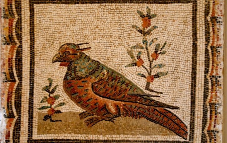 A mosaic of a bird which used to be a popular ancient Roman pet.