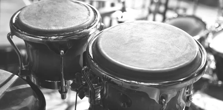 A greyscale picture of a pair of Bongo drums