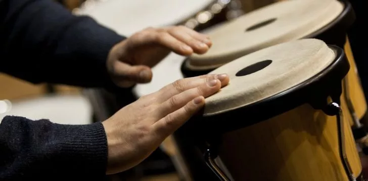 Bongo drum clearance musical instrument
