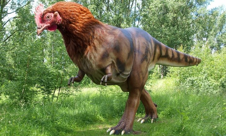 Un dinosaure avec une tête de poulet.