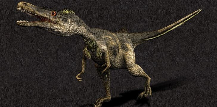 Velociraptors were fast.