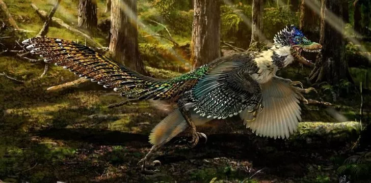 Velociraptors were great at hunting.