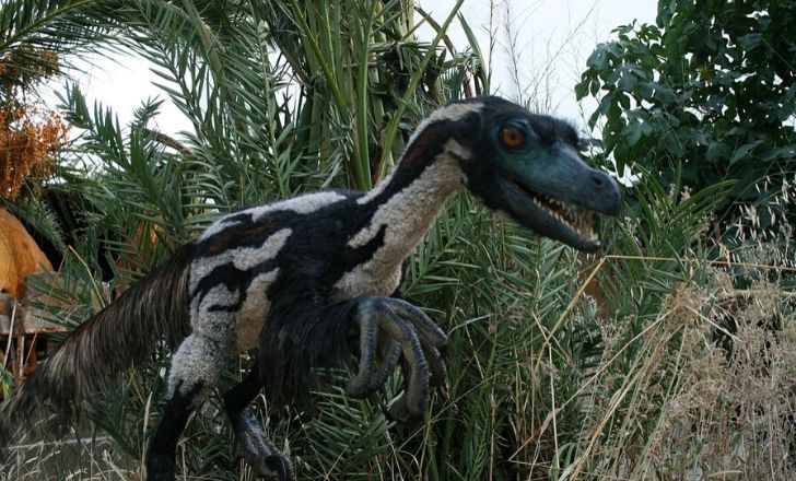 Velociraptor in the jungle.