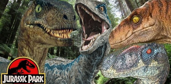 Velociraptors as seen in Jurassic World.