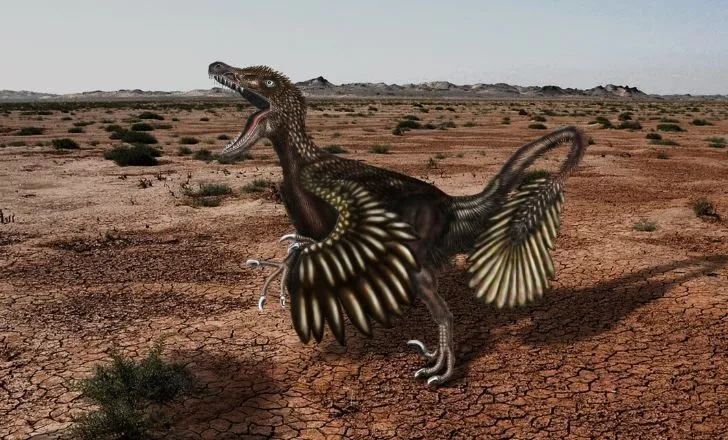 Velociraptor mongoliensis model.