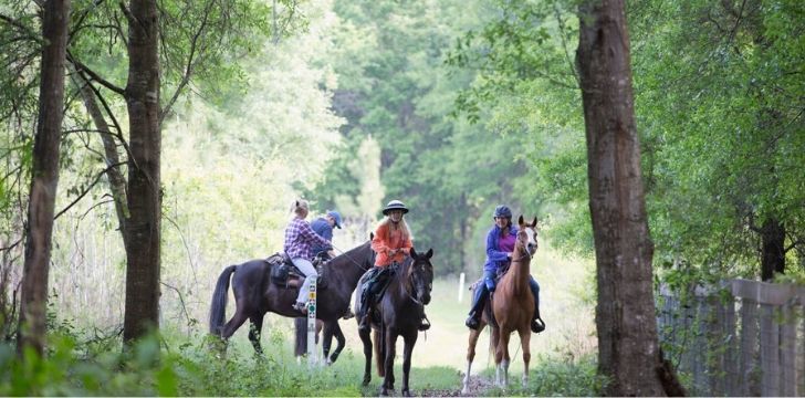 Tourists riding horses in Florida