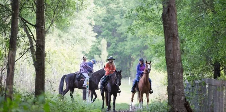 Tourists riding horses in Florida